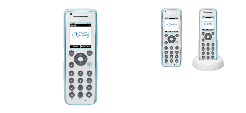 DECT Telefon M310